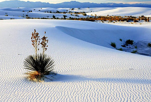 trips from El Paso to White Sands National Park