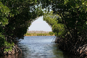 Everglades national park RV camping vacation.
